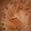 Goni